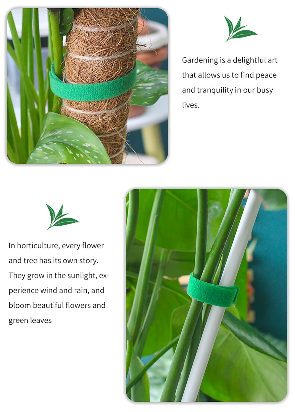 Garden Tape Nylon Cable Tie for Plants Flowers Growing Climbing Reusable Plant Support Hook-and-loop Fastener Garden Accessories