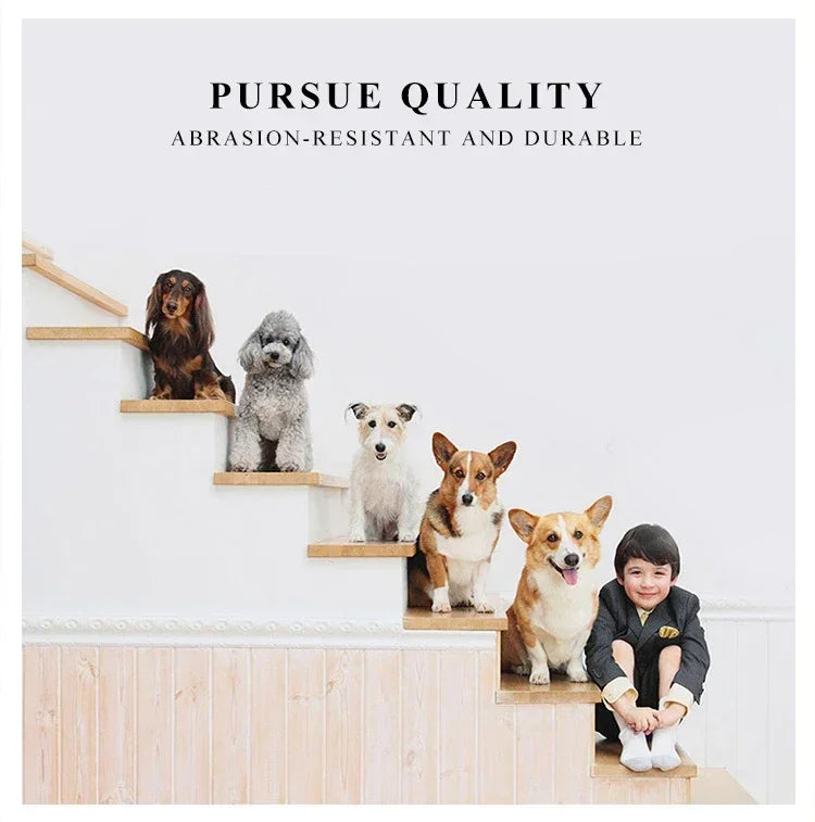 Breathable Out and About Portable Foldable Portable Dog Cat Carrier Bag Pet Puppy Travel Bags Outdoor Tent Carrier Pets Handbag