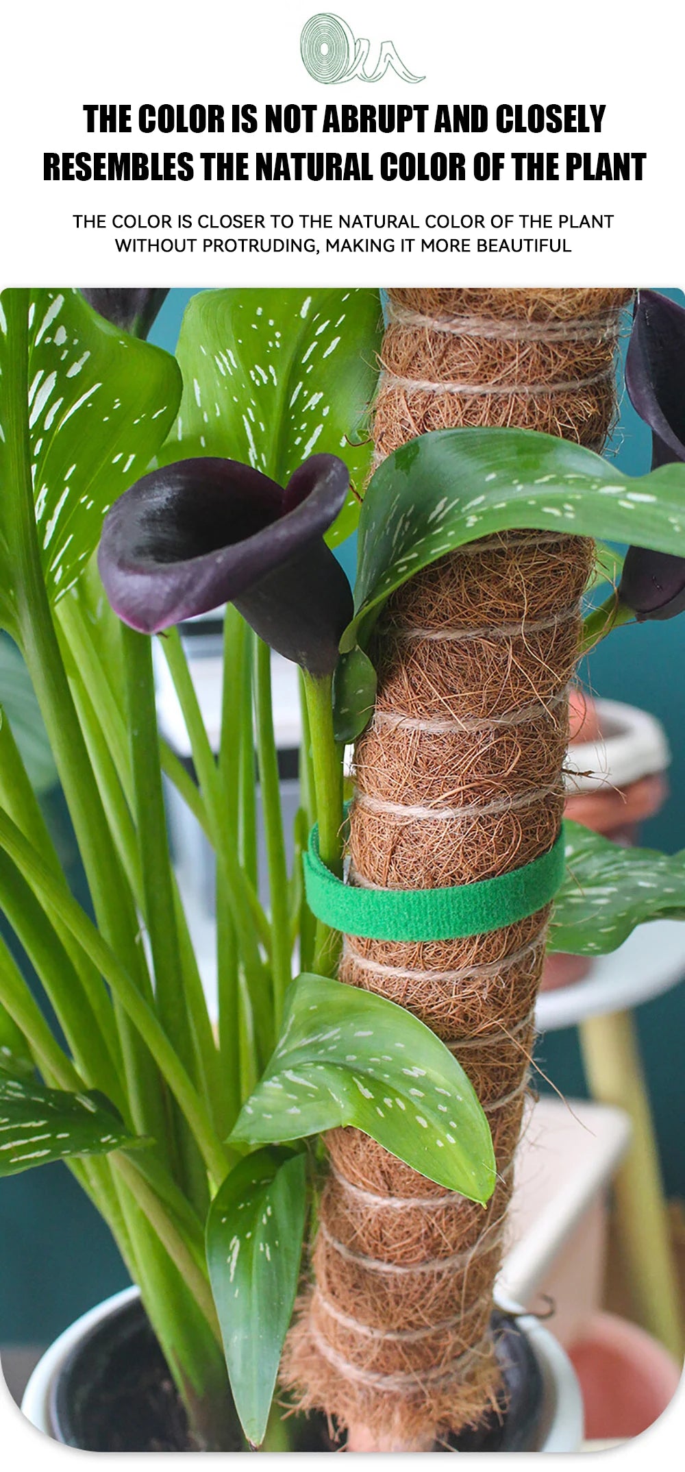 Garden Tape Nylon Cable Tie for Plants Flowers Growing Climbing Reusable Plant Support Hook-and-loop Fastener Garden Accessories