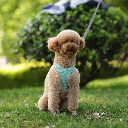 Summer Mesh Safety Vest and Leash Set for Small Dogs Dog Accessories Adjustable Puppy and Cats Harness Pet Supplies Collar Pets