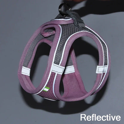 Summer Mesh Safety Vest and Leash Set for Small Dogs Dog Accessories Adjustable Puppy and Cats Harness Pet Supplies Collar Pets