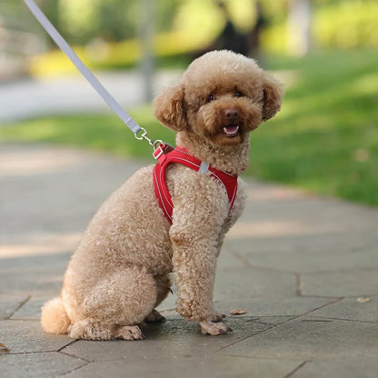 Summer Mesh Safety Vest and Leash Set for Small Dogs Dog Accessories Adjustable Puppy and Cats Harness Pet Supplies Collar Pets