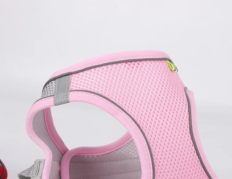Summer Mesh Safety Vest and Leash Set for Small Dogs Dog Accessories Adjustable Puppy and Cats Harness Pet Supplies Collar Pets