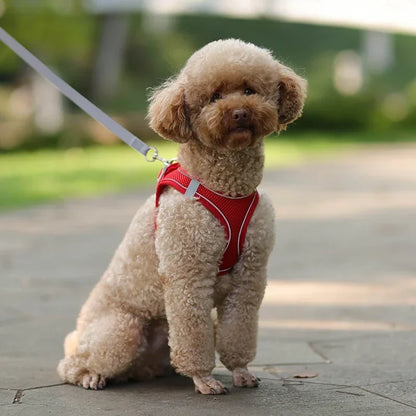 Summer Mesh Safety Vest and Leash Set for Small Dogs Dog Accessories Adjustable Puppy and Cats Harness Pet Supplies Collar Pets