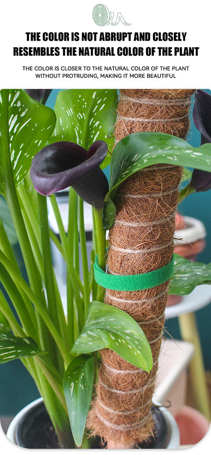 Garden Tape Nylon Cable Tie for Plants Flowers Growing Climbing Reusable Plant Support Hook-and-loop Fastener Garden Accessories