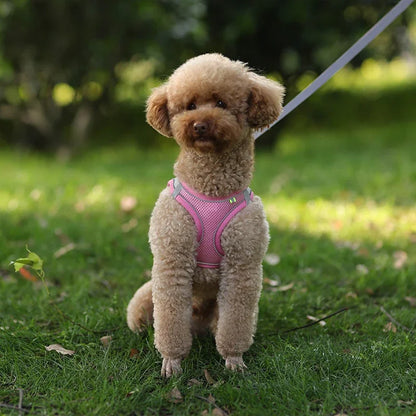Summer Mesh Safety Vest and Leash Set for Small Dogs Dog Accessories Adjustable Puppy and Cats Harness Pet Supplies Collar Pets