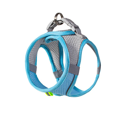 Summer Mesh Safety Vest and Leash Set for Small Dogs Dog Accessories Adjustable Puppy and Cats Harness Pet Supplies Collar Pets