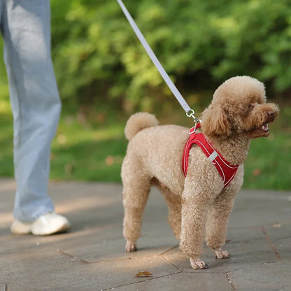 Summer Mesh Safety Vest and Leash Set for Small Dogs Dog Accessories Adjustable Puppy and Cats Harness Pet Supplies Collar Pets