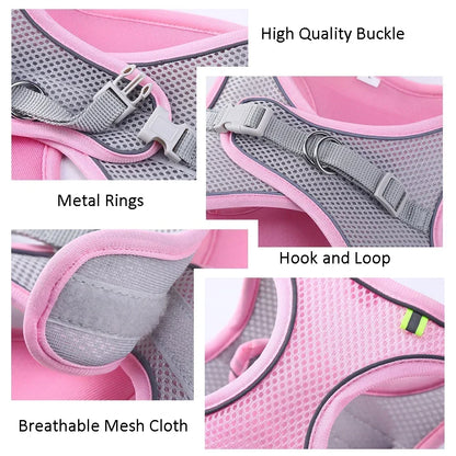 Summer Mesh Safety Vest and Leash Set for Small Dogs Dog Accessories Adjustable Puppy and Cats Harness Pet Supplies Collar Pets