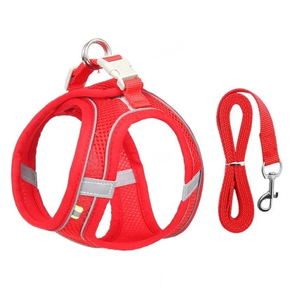 Summer Mesh Safety Vest and Leash Set for Small Dogs Dog Accessories Adjustable Puppy and Cats Harness Pet Supplies Collar Pets