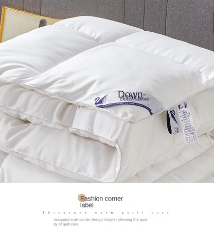 Household hotel white goose down duvet blanket, summer quilt, down comforter, queen comforter