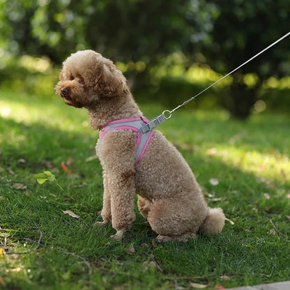 Summer Mesh Safety Vest and Leash Set for Small Dogs Dog Accessories Adjustable Puppy and Cats Harness Pet Supplies Collar Pets